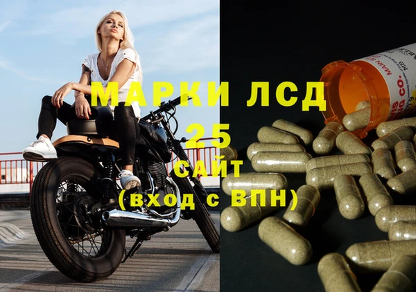 хмурый Нея