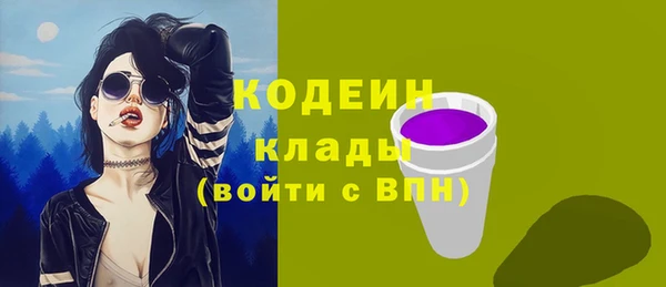 хмурый Нея