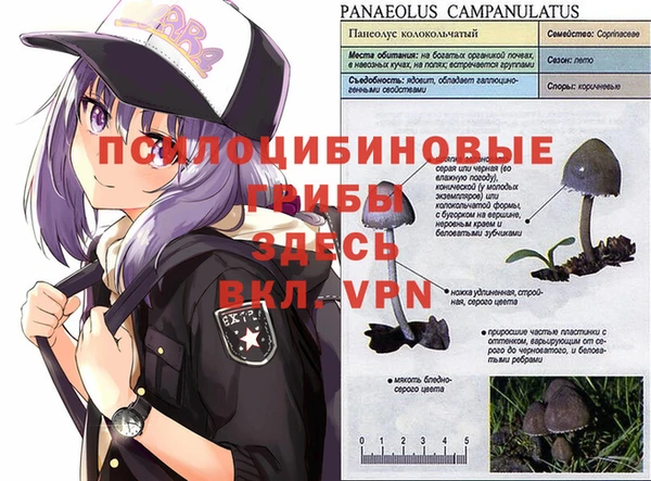 хмурый Нея