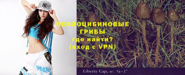 хмурый Нея