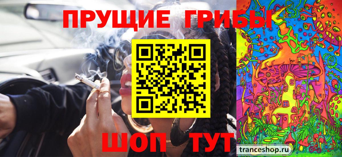 Серпухов  купить наркоту  Вход с VPN  Псилоцибиновые грибы MAGIC MUSHROOMS  Псилоцибиновые грибы Cubensis 